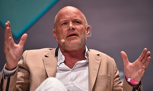 Portrait of Michael Novogratz